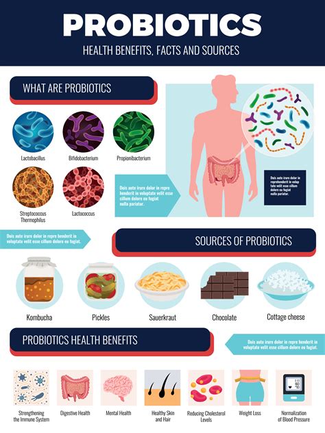 primal biotics opiniones|Probiotics: Five Reasons Why Its Important to Look After Your Gut